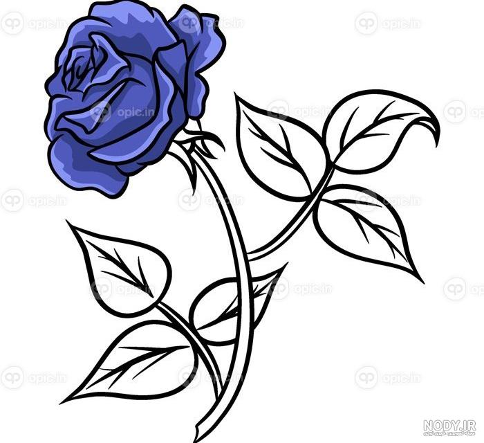 نقاشی گل رز