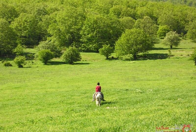 اقامتگاه های بوم گردی روستای درکش : عکس ها، رزرو آنلاین، بهترین قیمت
