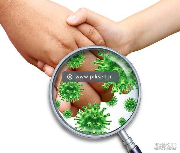 تفاوت بین عفونت ویروسی و عفونت باکتریایی چیست - زومیت