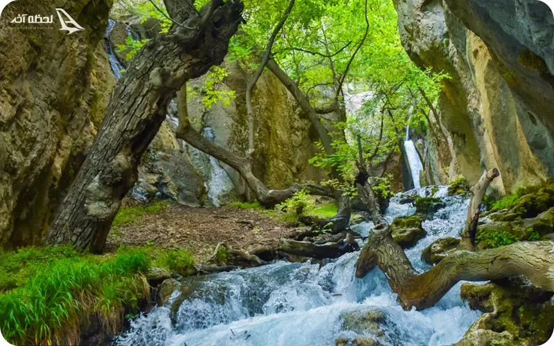 جاهای دیدنی لردگان | آشنایی با طبیعتی بکر و سرسبز در ایران | مجله پته