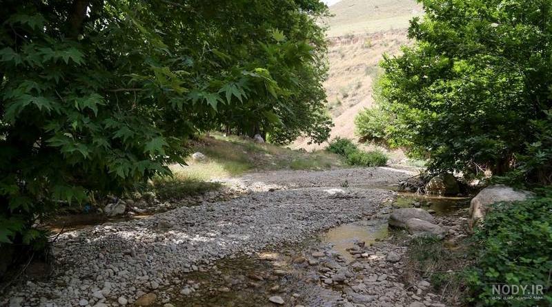 روستای « درکش » داروخانه‌ سرسبز و طبیعی | ایران دهیار