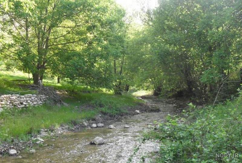 روستای درکش آشخانه | دیدنی ها، امکانات و نقشه ☀️ این تودی