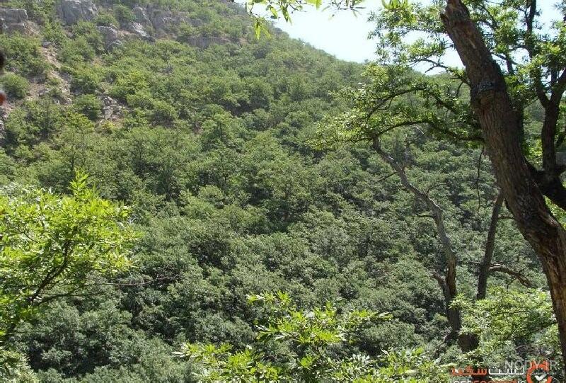 روستای درکش، داروخانه طبیعی ایران | لست‌سکند