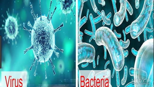 ساختار و ژنتیک ویروس ها | ویروس چیست؟ | کیت استخراج DNA | کیت استخراج RNA