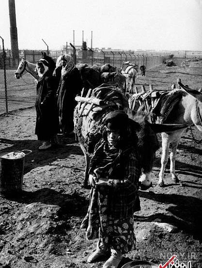 عکس/ راهپیمایی با پرچم ۵۰۰ متری عراق در کرکوک | سایت انتخاب