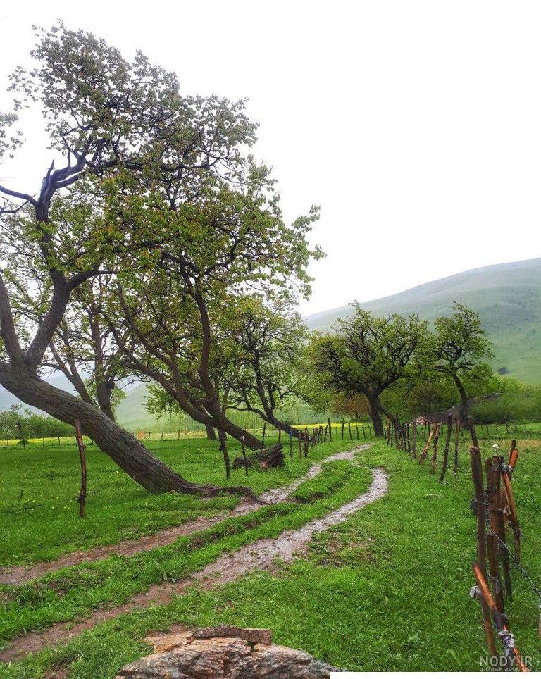 عکس روستایی زیبا در شمال ایران | جهان نيوز عکس روستایی زیبا در شمال ایران | جهان نيوز