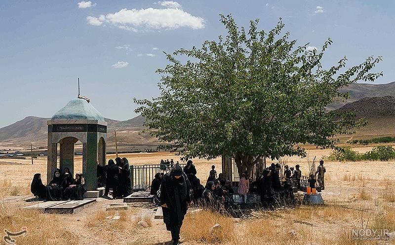 عکس ملاقات شادروان شیرین دالوند با رضاخان در سال ۱۳۱۵ خورشیدی | دانشنامه لرستان عکس ملاقات شادروان شیرین دالوند با رضاخان در سال ۱۳۱۵ خورشیدی | دانشنامه لرستان