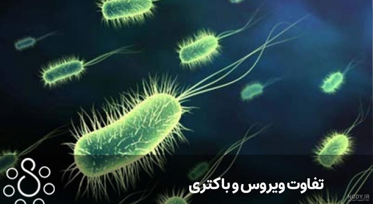 فرق بین ویروس و میکروب - کیوت مگ | CuteSkin