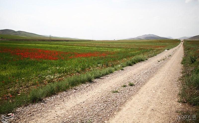 نگاهی به دشت‌های سرسبز خراسان شمالی از لنز دوربین شهروند خبرنگار