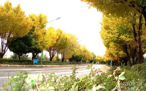 چادگان کجاست؟ | سفر به بهشت گردشگری اصفهان - پته