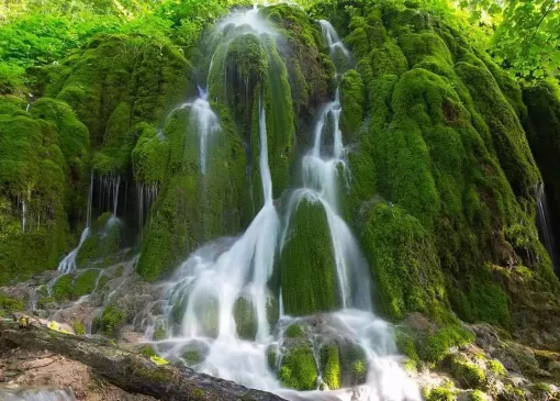 چمستان کجاست؟+عکس