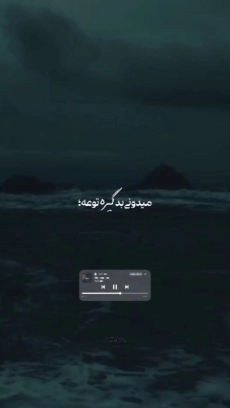 استوری با اهنگ حامیم