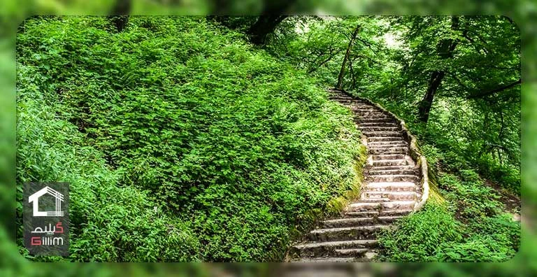 جاهای دیدنی رشت: تفریح، تاریخ و مذهب در دیدنی های رشت | مجله علی بابا