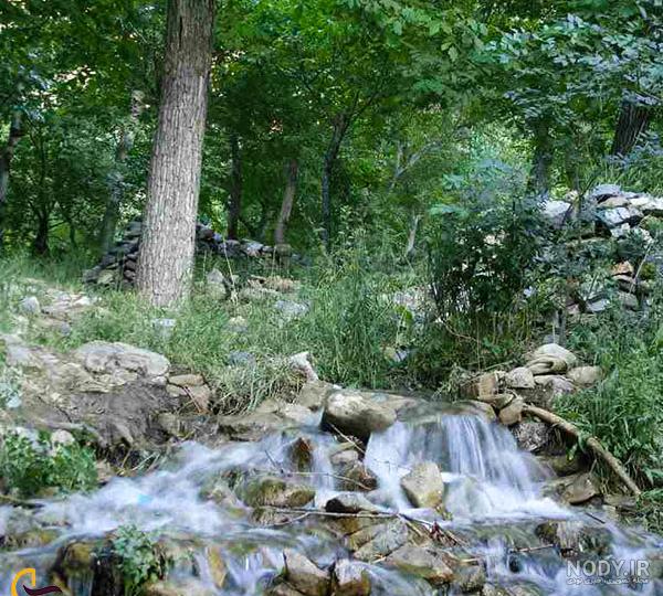جاهای دیدنی قم و جاذبه های گردشگری آن استان را بشناسید | فانیبو