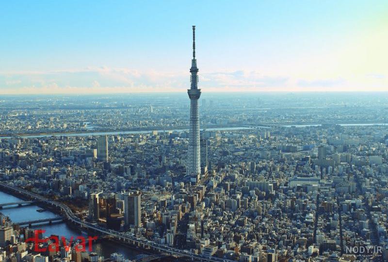 معروف ترین جاهای دیدنی چین + بهترین مناظر برای عکاسی در چین | بامبو معروف ترین جاهای دیدنی چین + بهترین مناظر برای عکاسی در چین | بامبو