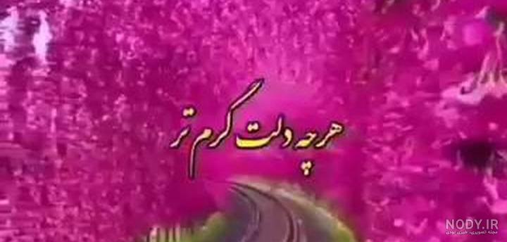 عکس برای پروفایل واتساپ خفن