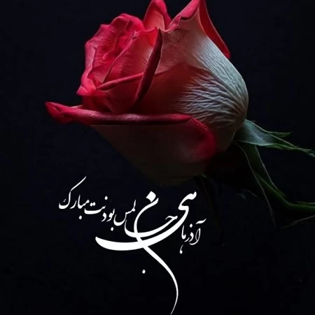 عکس خفن عکس تبریک تولد همسر اذر ماهی