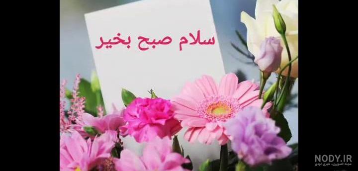 Mp4.ir | کلیپ قشنگ صبح بخیر پاییزی زیبا برای استوری