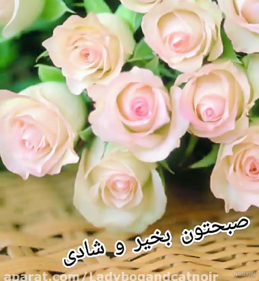 استوری صبح بخیر
