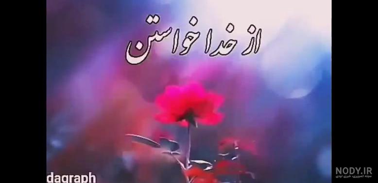 استوری قشنگ کلیپ زیبا برای وضعیت واتساپ جدید