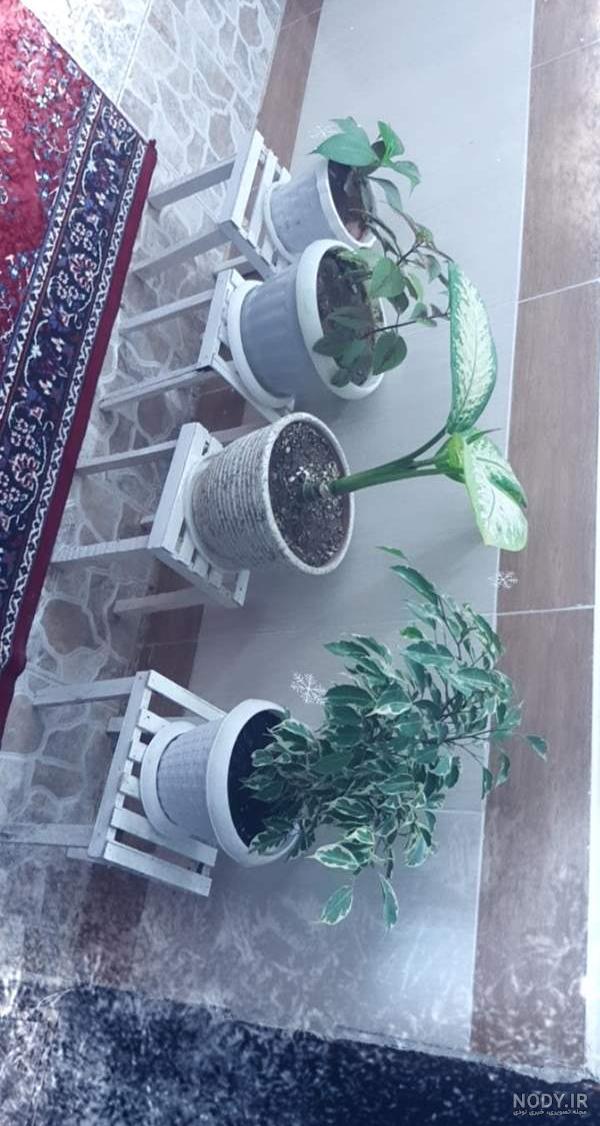 بیاین عکس گل هاتونو بزارین😍 | تبادل نظر نی نی سایت بیاین عکس گل هاتونو بزارین😍 | تبادل نظر نی نی سایت