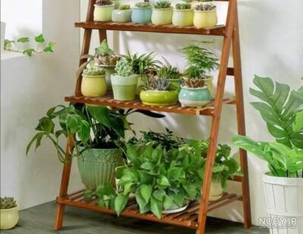 عکس از گل هاتون بزارین😍🪴🌱 | تبادل نظر نی نی سایت