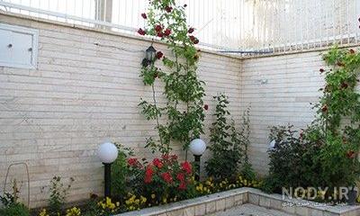 عکس از گل هاتون نی نی سایت