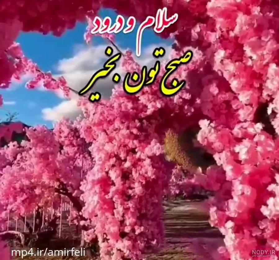 عکس برای وضعیت واتساپ سلام صبح بخیر - عکس نودی