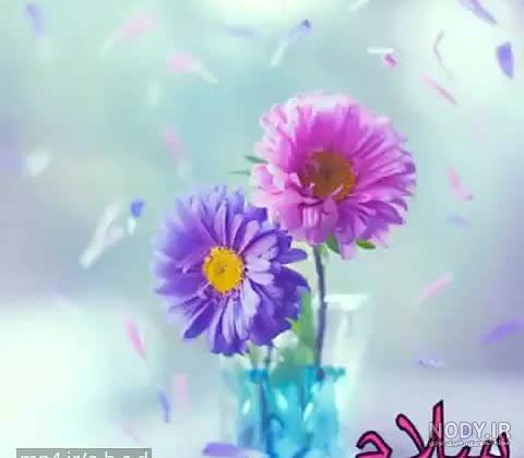 عکس برای وضعیت واتساپ سلام صبح بخیر - عکس نودی