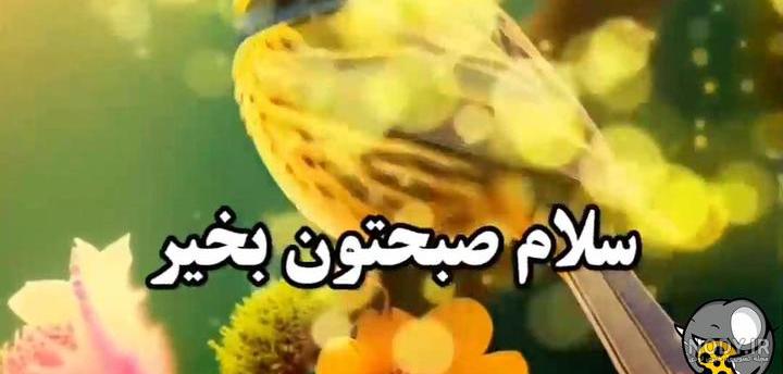 عکس واتساپ صبح بخیر - عکس نودی