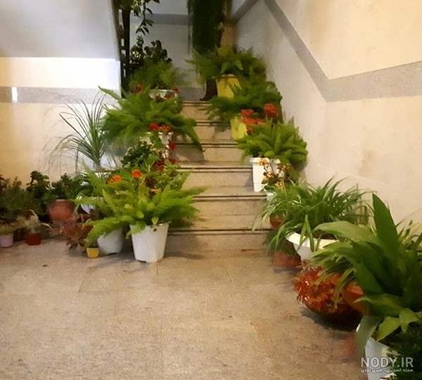 عکس گل و گیاه نی نی سایت