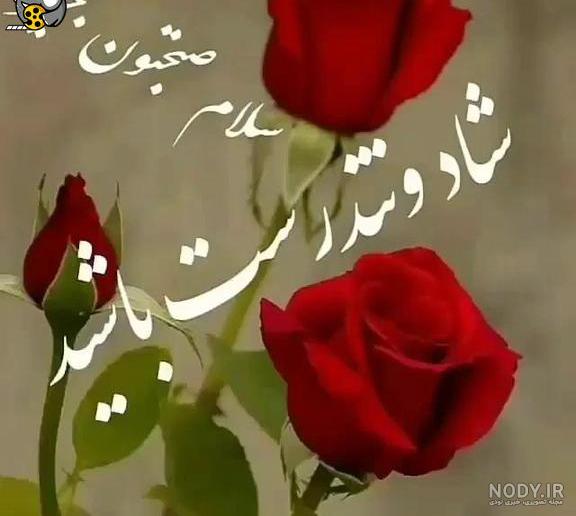 متن رسمی و مودبانه صبح بخیر برای کانال و گروه مجازی
