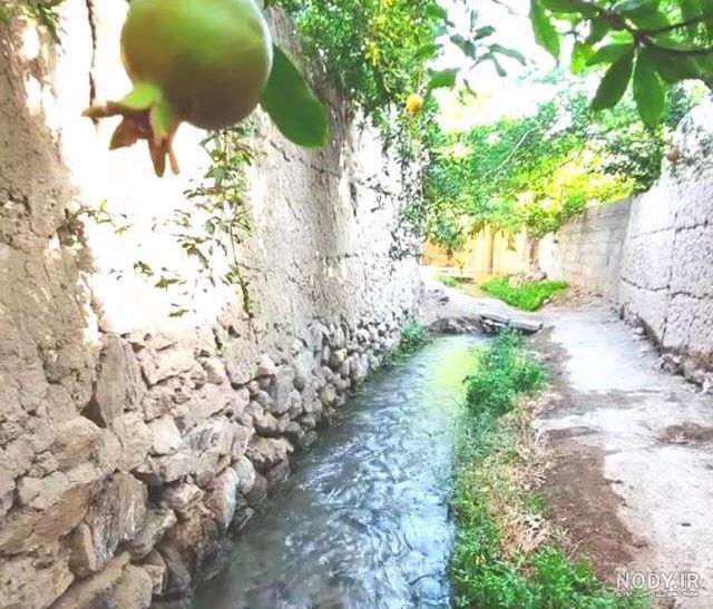 کلیپ صبح بخیر پر انرژی