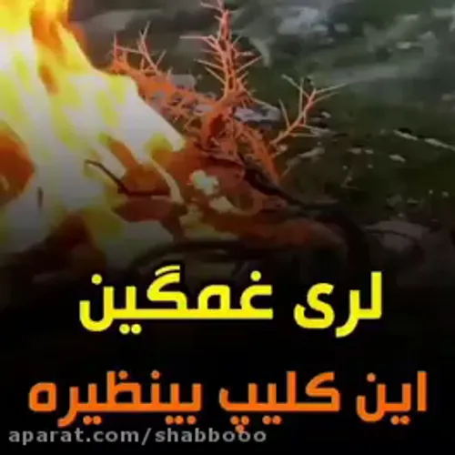 کلیپ عاشقانه لری✨❤ کلیپ عاشقانه لری✨❤