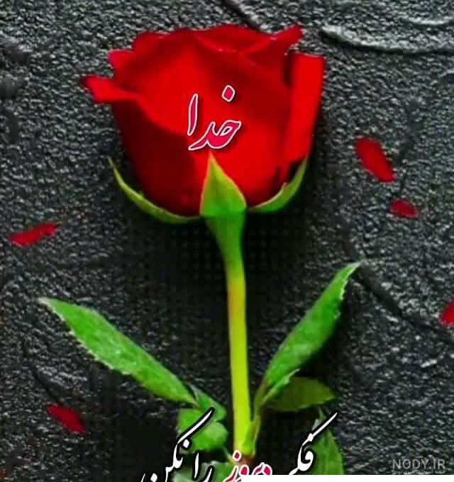 کلیپ قشنگ برای وضعیت واتساپ شاد جدید