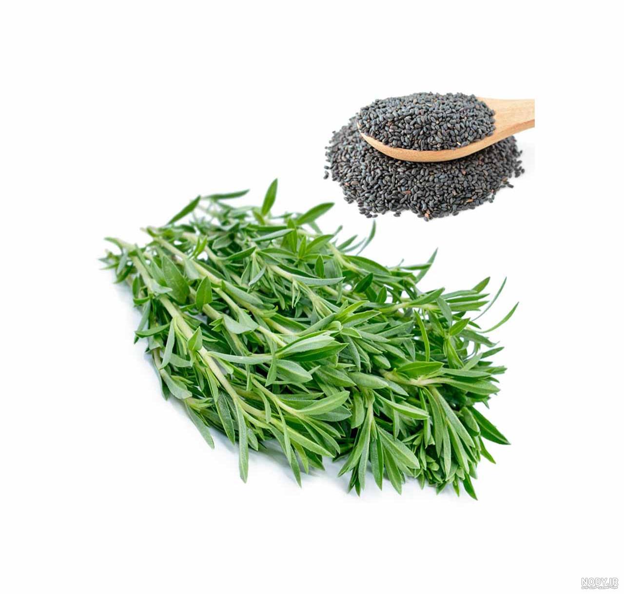 انواع سبزی خوردن با اسم و عکس و خواص آن ها انواع سبزی خوردن با اسم و عکس و خواص آن ها