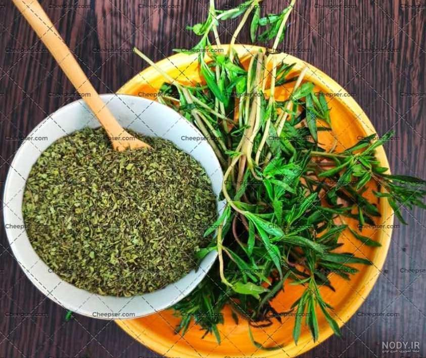 بذر سبزی مرزه | فروشگاه اینترنتی بذر سبزی مرزه | بذر سبزی مرزه اگری پلاس بذر سبزی مرزه | فروشگاه اینترنتی بذر سبزی مرزه | بذر سبزی مرزه اگری پلاس