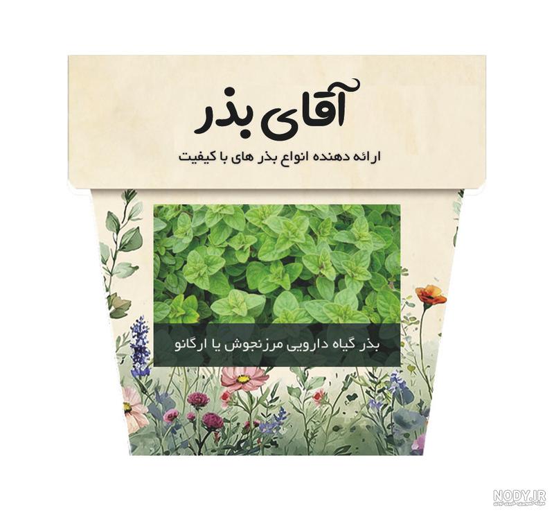 بذر مرزنجوش (مرزنگوش) | فروشگاه بذر، نهال و لوازم کشاورزی | گلس گاردن بذر مرزنجوش (مرزنگوش) | فروشگاه بذر، نهال و لوازم کشاورزی | گلس گاردن