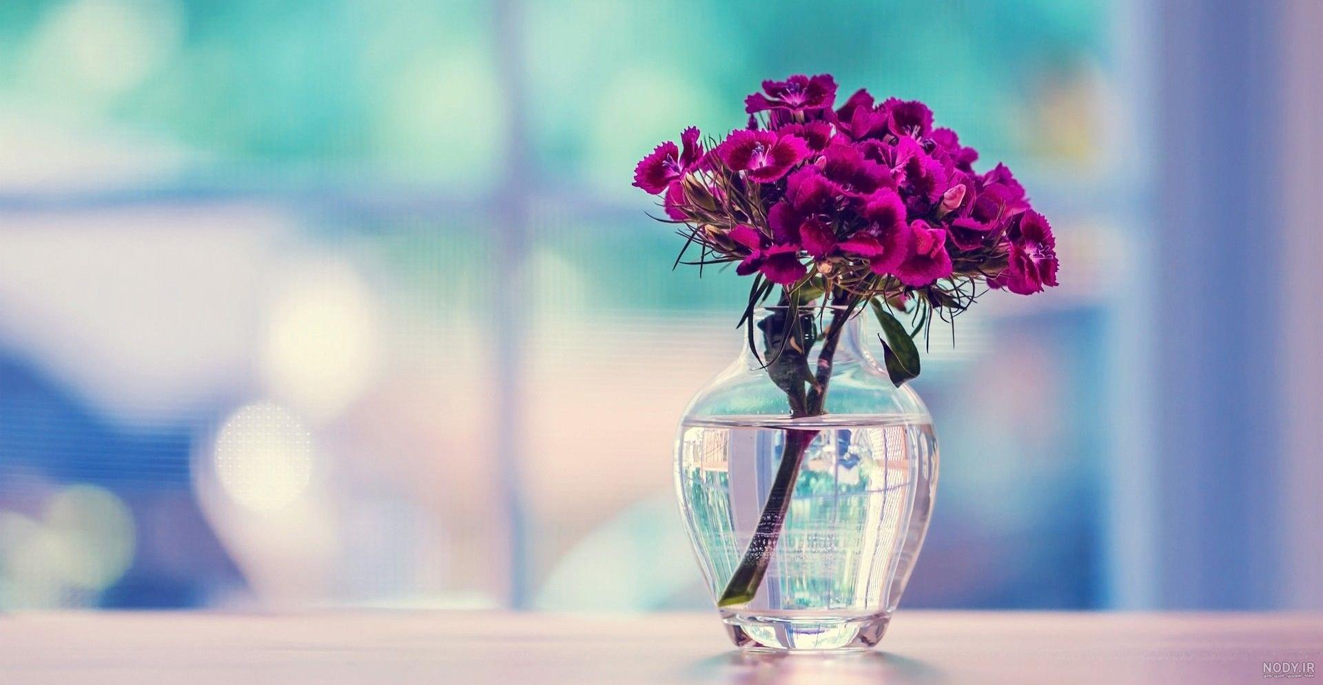بهترین عکس برای صفحه کامپیوتر