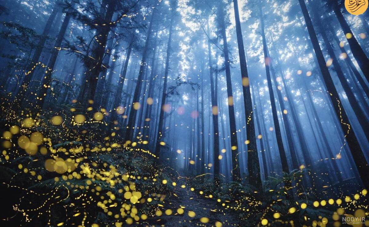 بهترین عکس سال ۲۰۲۳