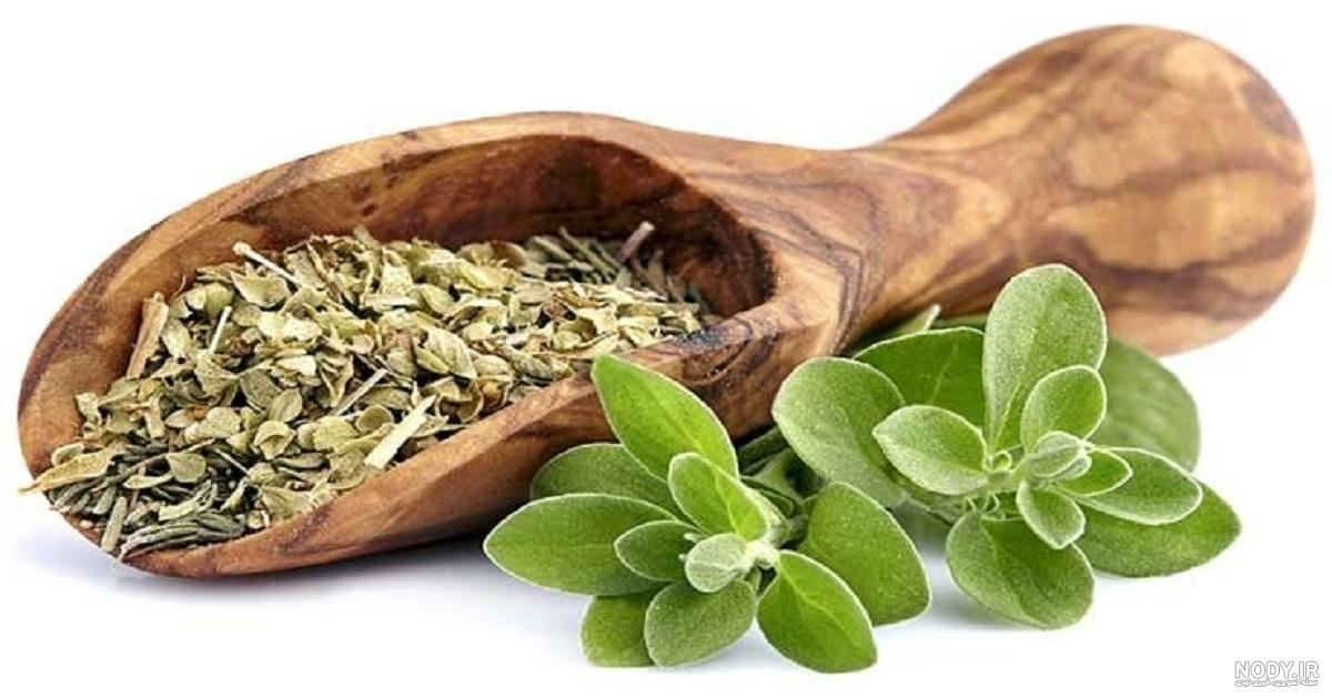 خرید و قیمت مرزنجوش خشک از غرفه فرآورده خانگی گلی