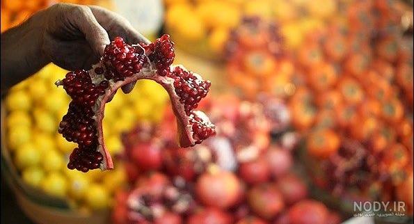 عکاسی یلدا و پاییز در فضای باز و صمیمی | اتلیه کودک روژه