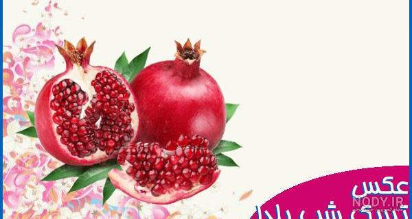 عکس استیکر تبریک شب یلدا - عکس نودی عکس استیکر تبریک شب یلدا - عکس نودی
