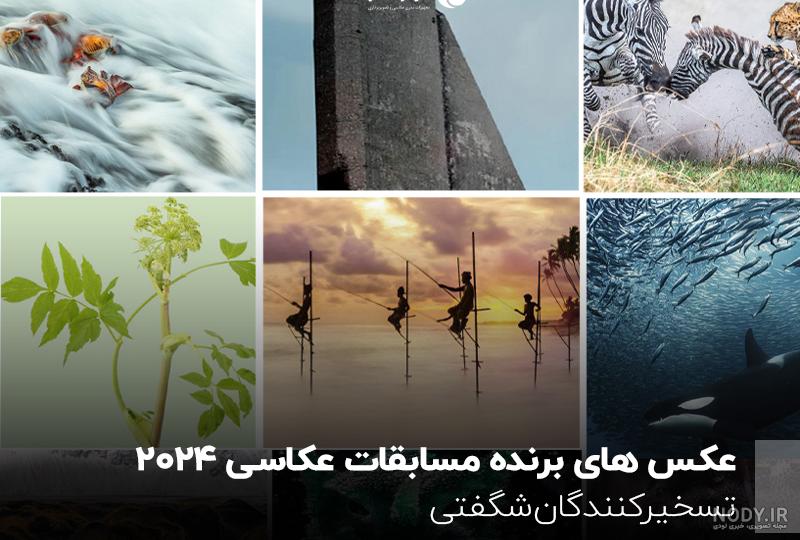 عکس بهترین بازیکنان سال ۲۰۲۴ عکس بهترین بازیکنان سال ۲۰۲۴