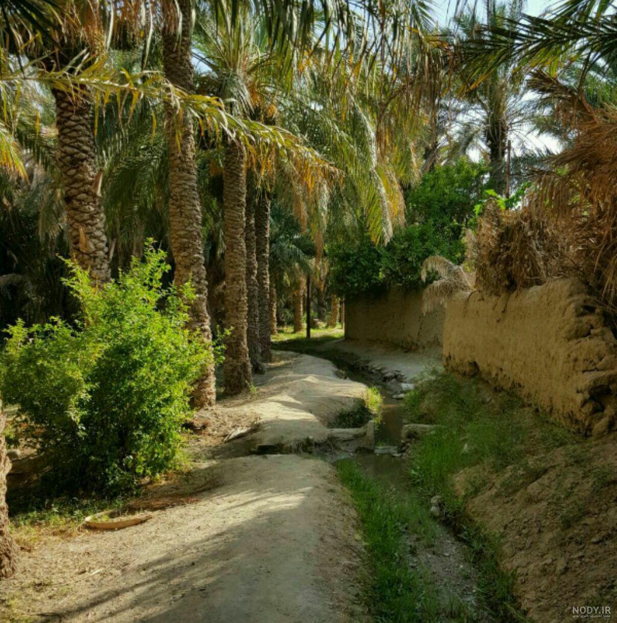 عکس مرز کوهک سراوان