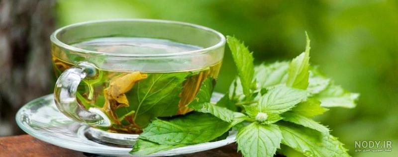 قیمت، خرید و فروش مرزنجوش یزدی خشک یا پودری بسته بندی