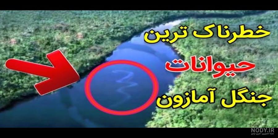 مخوف‌ترین جنگل‌های دنیا - خبرآنلاین