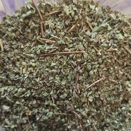 مرزنجوش؛ خواص، مضرات و طریقه مصرف این گیاه معطر