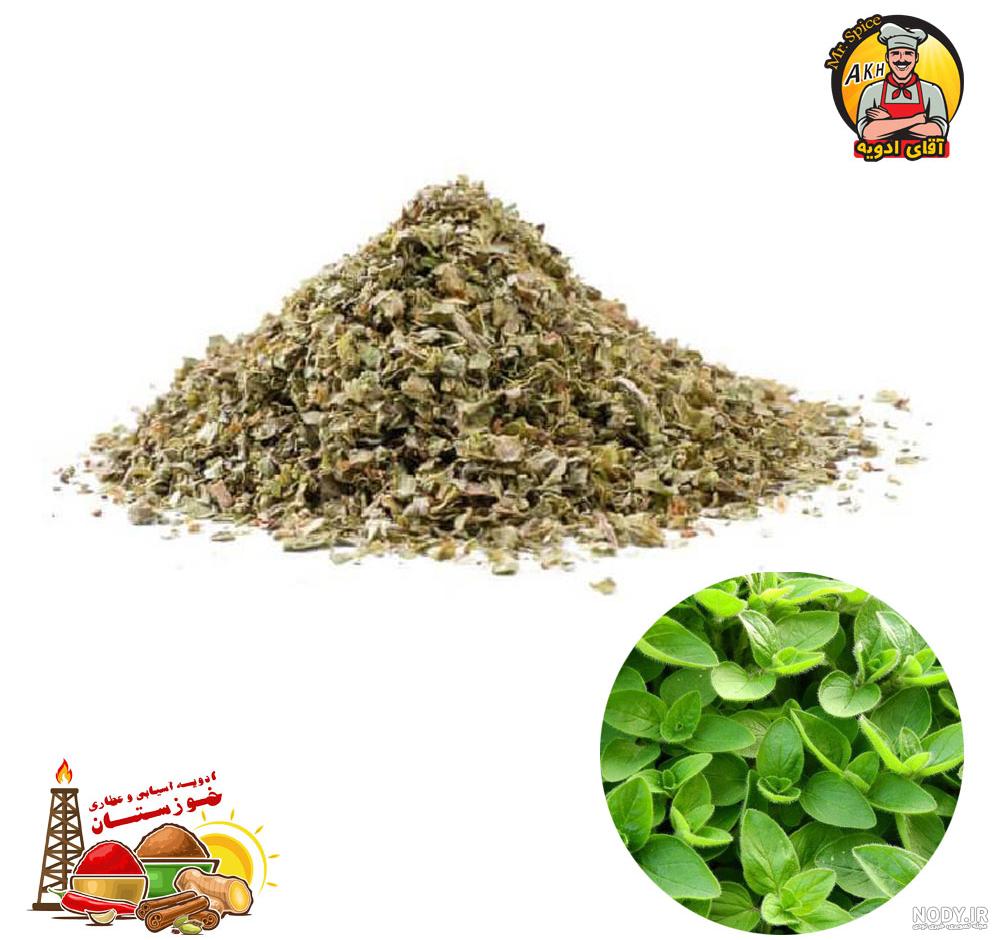 هر آنچه از خواص و مضرات مرزنجوش باید بدانید! هر آنچه از خواص و مضرات مرزنجوش باید بدانید!