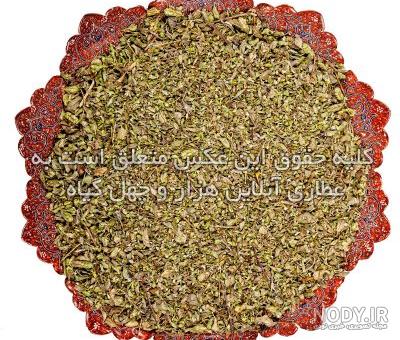چگونه مرزنجوش را در باغ گیاهی خود بکارید و پرورش دهید - فیلمهای گیاهان و کشاورزی چگونه مرزنجوش را در باغ گیاهی خود بکارید و پرورش دهید - فیلمهای گیاهان و کشاورزی